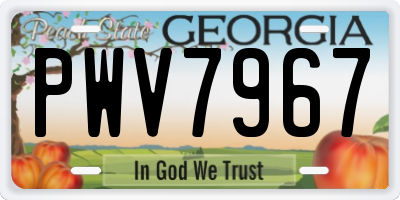 GA license plate PWV7967