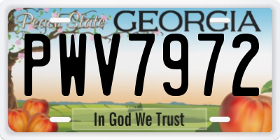 GA license plate PWV7972
