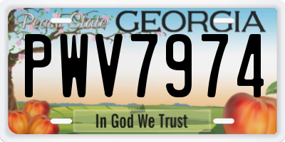 GA license plate PWV7974