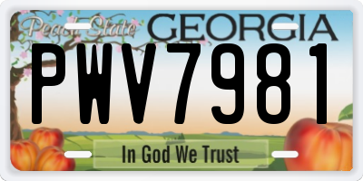 GA license plate PWV7981
