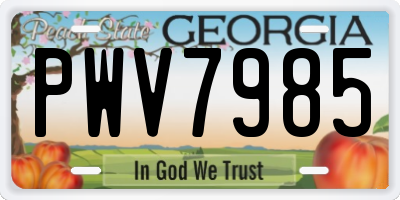 GA license plate PWV7985