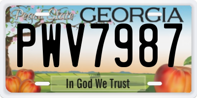 GA license plate PWV7987