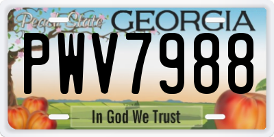 GA license plate PWV7988