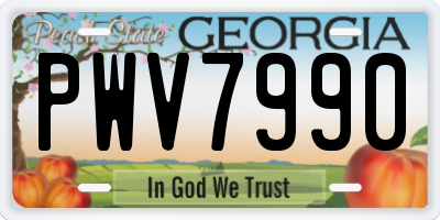 GA license plate PWV7990
