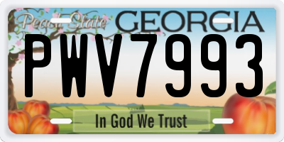 GA license plate PWV7993