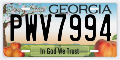 GA license plate PWV7994