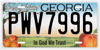 GA license plate PWV7996