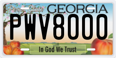 GA license plate PWV8000