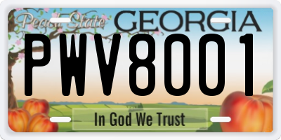 GA license plate PWV8001