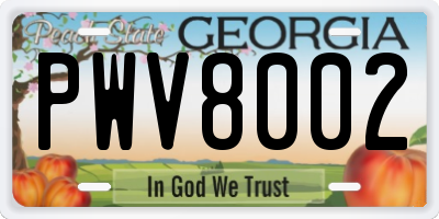 GA license plate PWV8002
