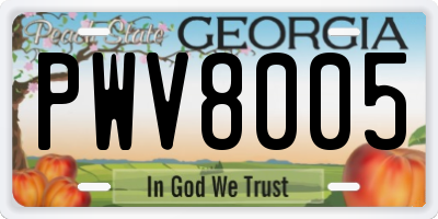 GA license plate PWV8005