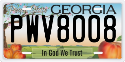 GA license plate PWV8008