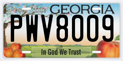 GA license plate PWV8009
