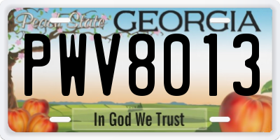 GA license plate PWV8013