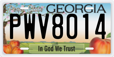 GA license plate PWV8014