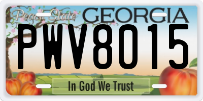 GA license plate PWV8015