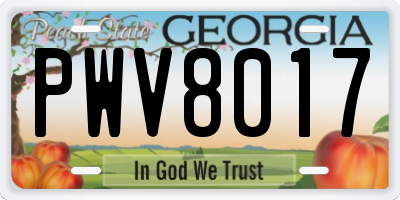 GA license plate PWV8017