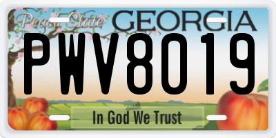 GA license plate PWV8019