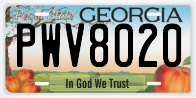 GA license plate PWV8020