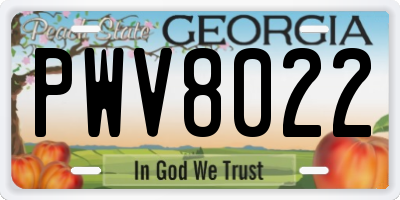 GA license plate PWV8022