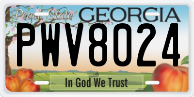 GA license plate PWV8024