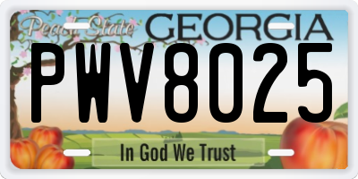 GA license plate PWV8025
