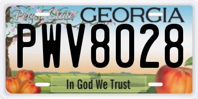 GA license plate PWV8028