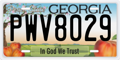 GA license plate PWV8029