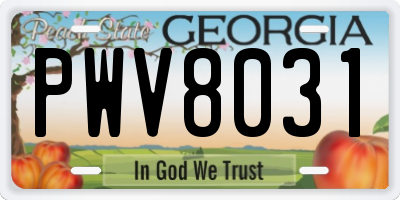 GA license plate PWV8031