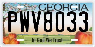 GA license plate PWV8033