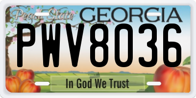 GA license plate PWV8036