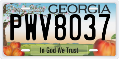 GA license plate PWV8037