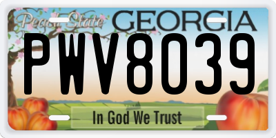 GA license plate PWV8039