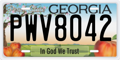 GA license plate PWV8042
