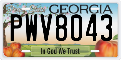 GA license plate PWV8043
