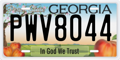 GA license plate PWV8044
