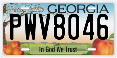 GA license plate PWV8046
