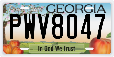 GA license plate PWV8047