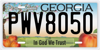 GA license plate PWV8050