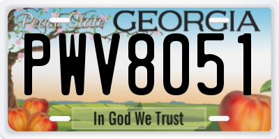 GA license plate PWV8051