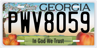 GA license plate PWV8059