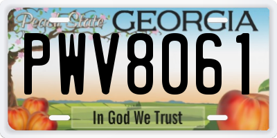 GA license plate PWV8061