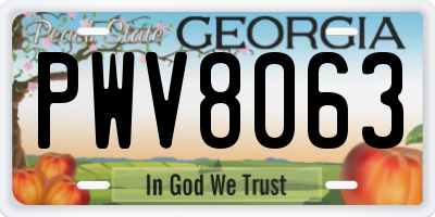 GA license plate PWV8063