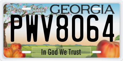 GA license plate PWV8064