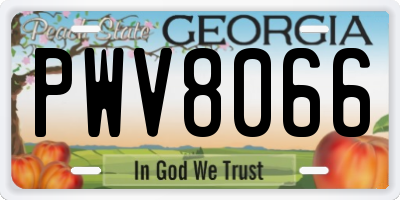 GA license plate PWV8066