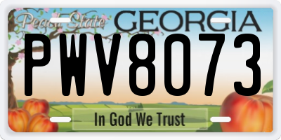 GA license plate PWV8073