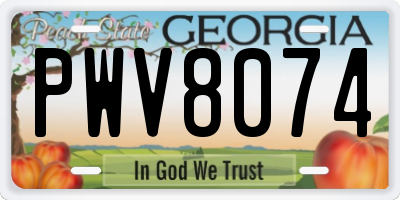 GA license plate PWV8074