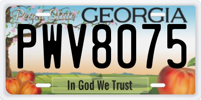 GA license plate PWV8075
