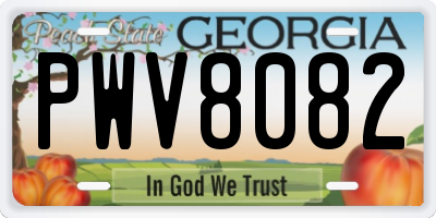 GA license plate PWV8082