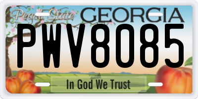 GA license plate PWV8085